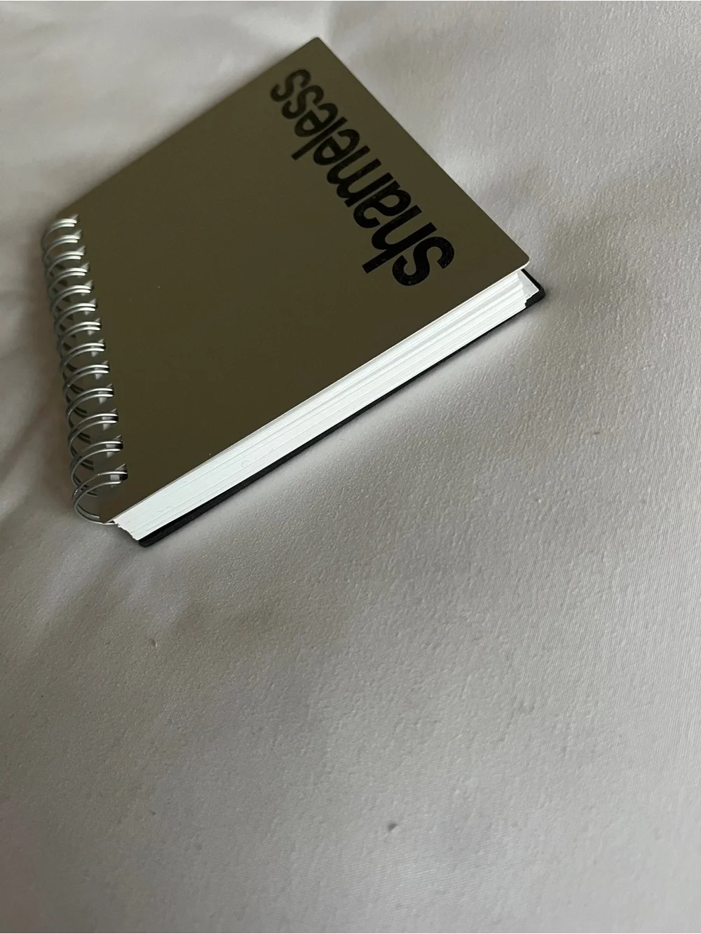 Notebook shameless silver